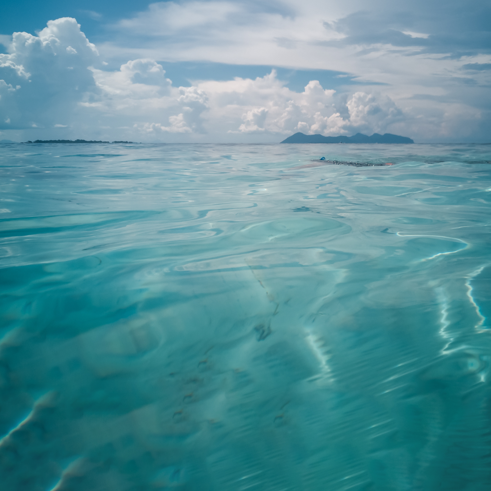 ocean view
